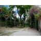 Properties for Sale_Farmhouse for sale in le Marche- Italy in Le Marche_2
